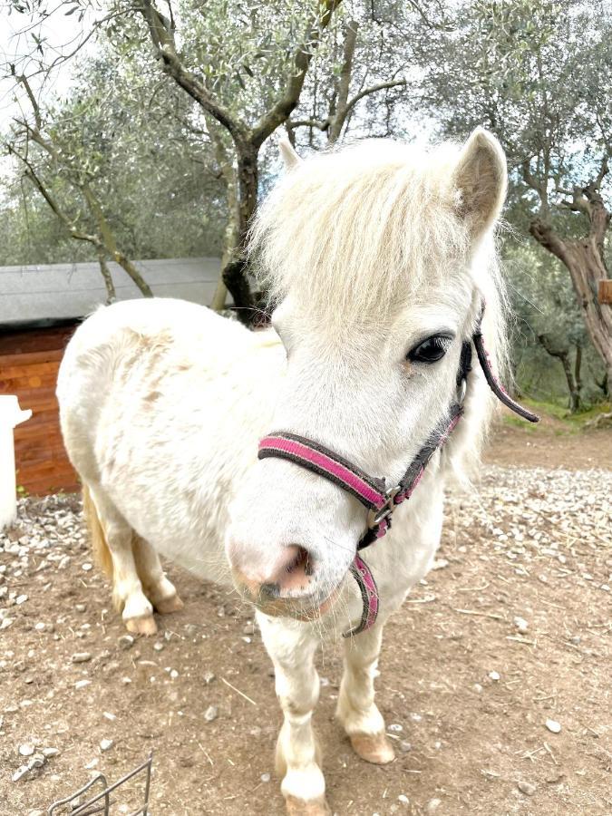 B&B Alloro カパンノリ エクステリア 写真